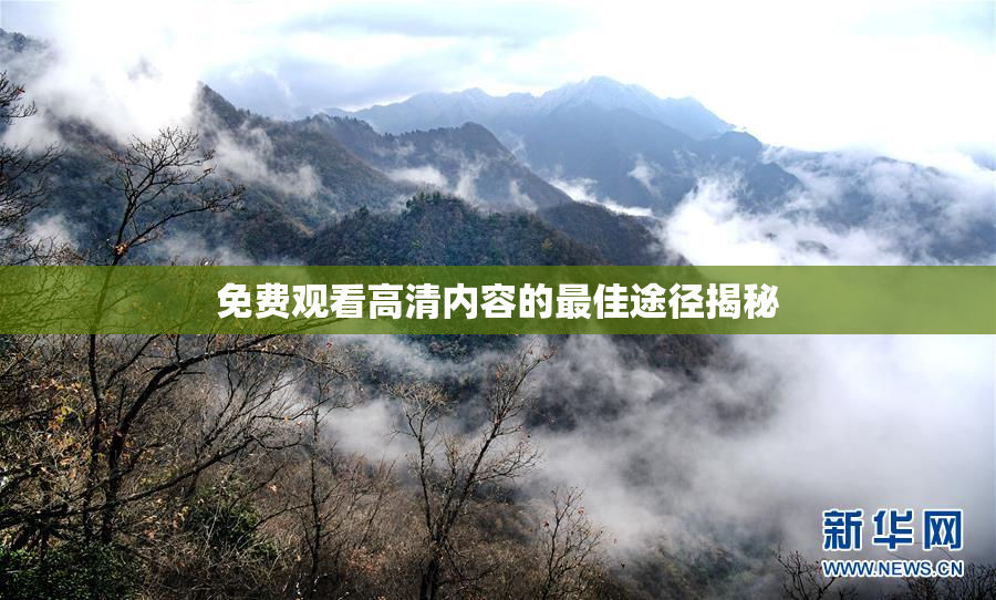 免费观看高清内容的最佳途径揭秘