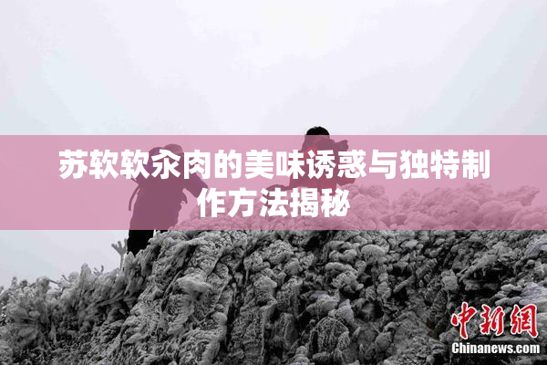 苏软软汆肉的美味诱惑与独特制作方法揭秘