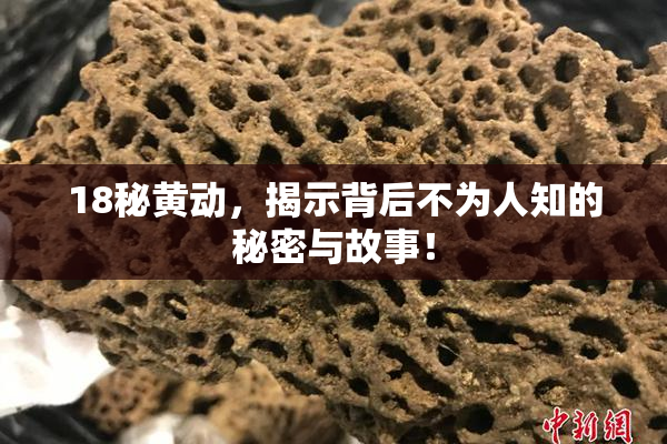 18秘黄动，揭示背后不为人知的秘密与故事！