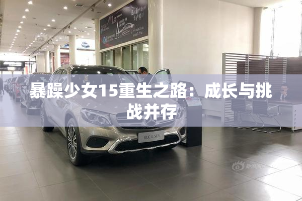 暴躁少女15重生之路：成长与挑战并存