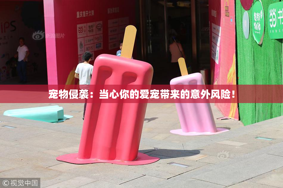 宠物侵袭：当心你的爱宠带来的意外风险！