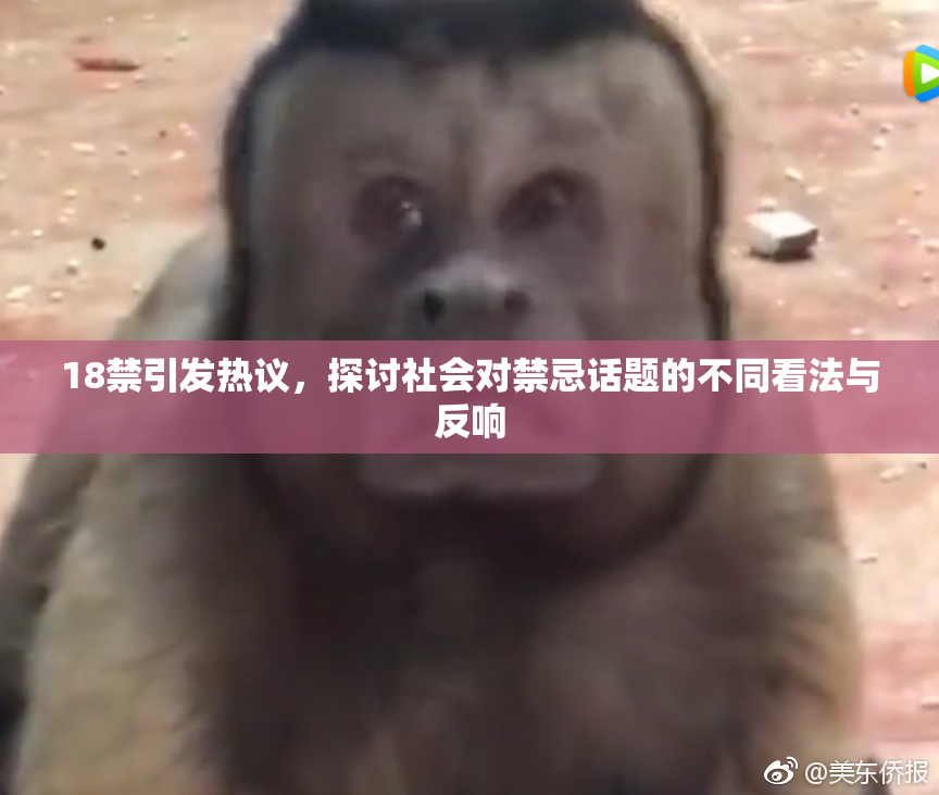 18禁引发热议，探讨社会对禁忌话题的不同看法与反响