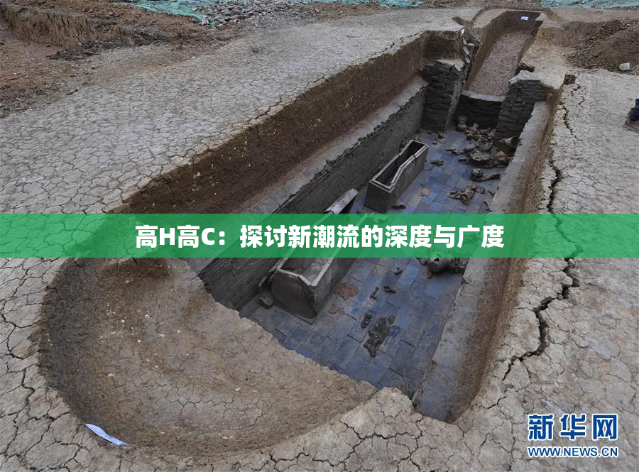 高H高C：探讨新潮流的深度与广度