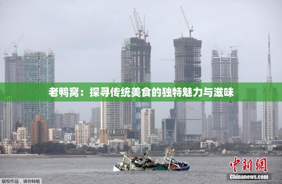 老鸭窝：探寻传统美食的独特魅力与滋味