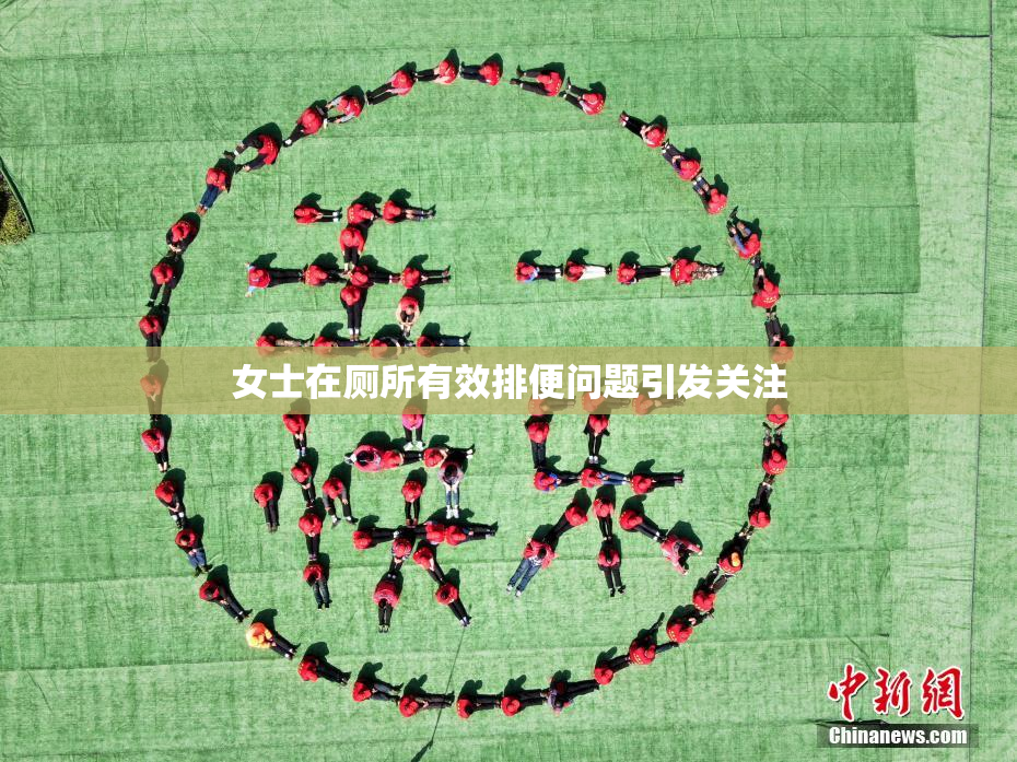 女士在厕所有效排便问题引发关注