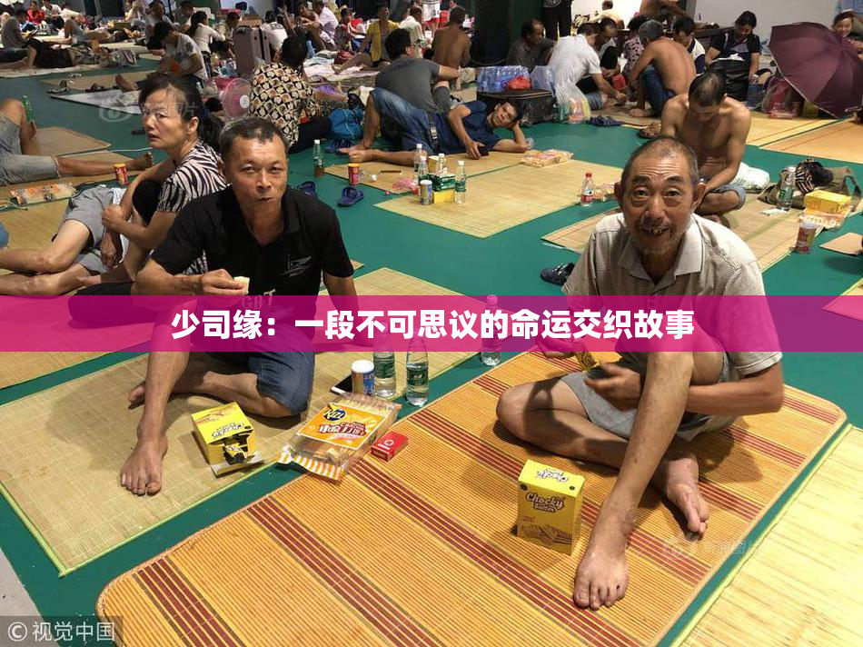少司缘：一段不可思议的命运交织故事
