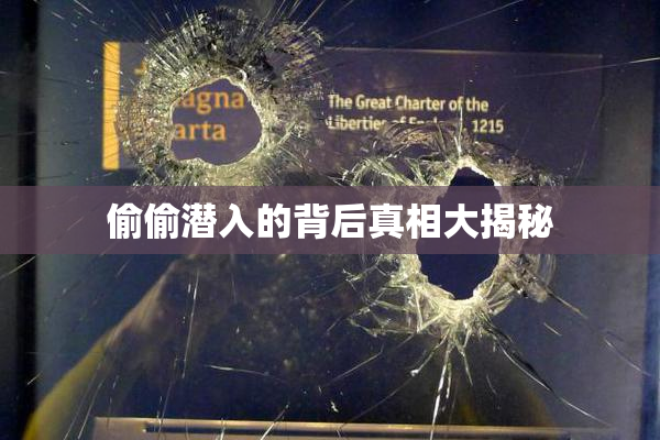 偷偷潜入的背后真相大揭秘