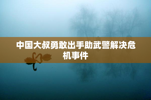 中国大叔勇敢出手助武警解决危机事件