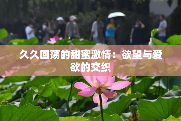 久久回荡的甜蜜激情：欲望与爱欲的交织