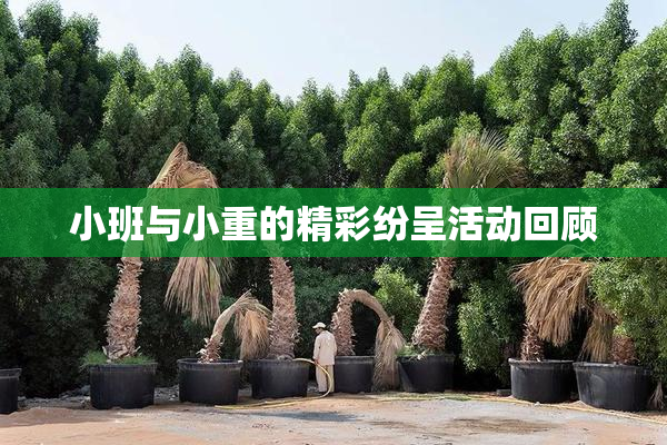 小班与小重的精彩纷呈活动回顾