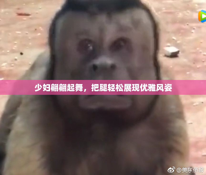 少妇翩翩起舞，把腿轻松展现优雅风姿