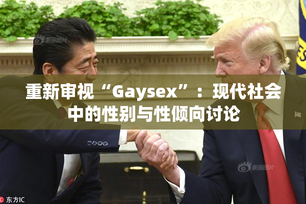 重新审视“Gaysex”：现代社会中的性别与性倾向讨论