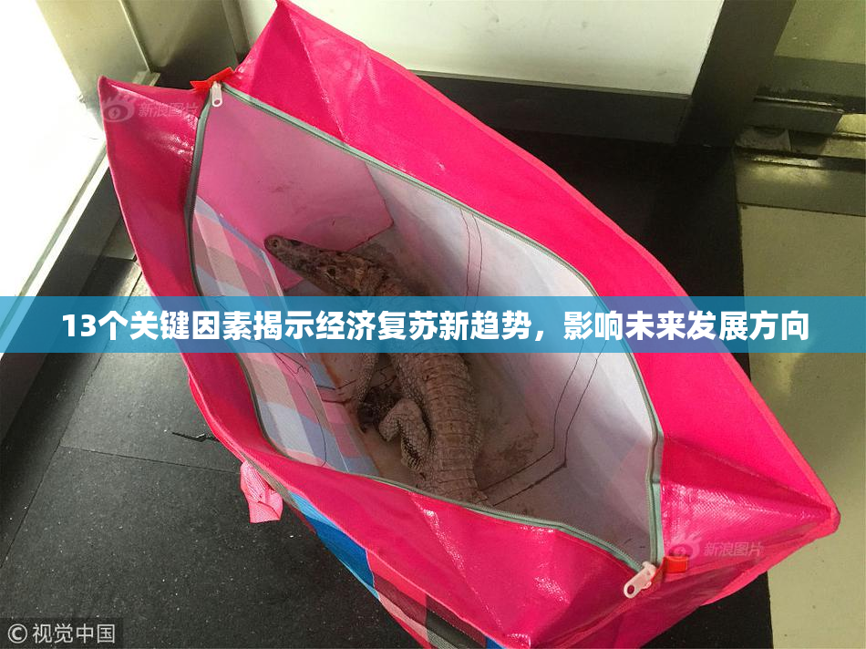 13个关键因素揭示经济复苏新趋势，影响未来发展方向