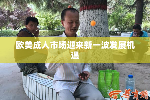 欧美成人市场迎来新一波发展机遇