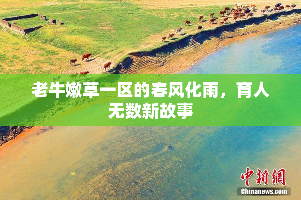 老牛嫩草一区的春风化雨，育人无数新故事