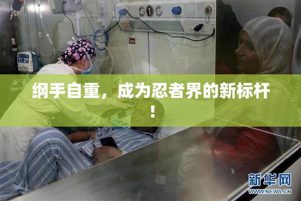 纲手自重，成为忍者界的新标杆！