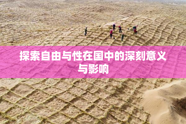 探索自由与性在国中的深刻意义与影响