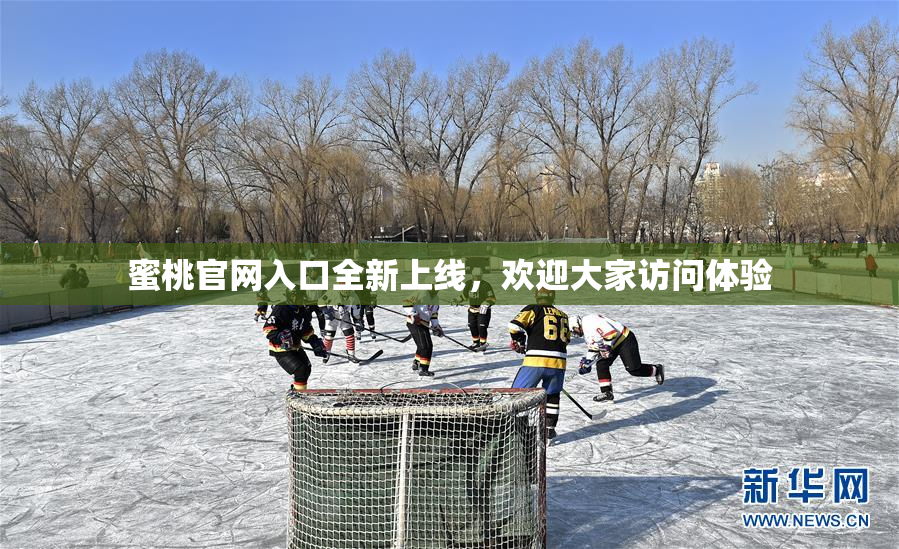 蜜桃官网入口全新上线，欢迎大家访问体验