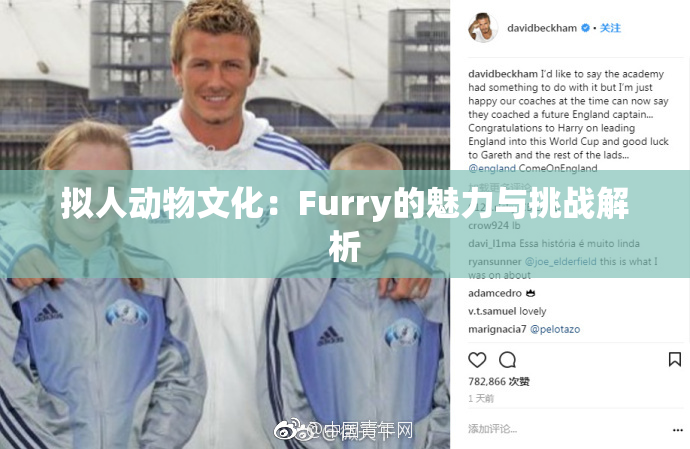 拟人动物文化：Furry的魅力与挑战解析