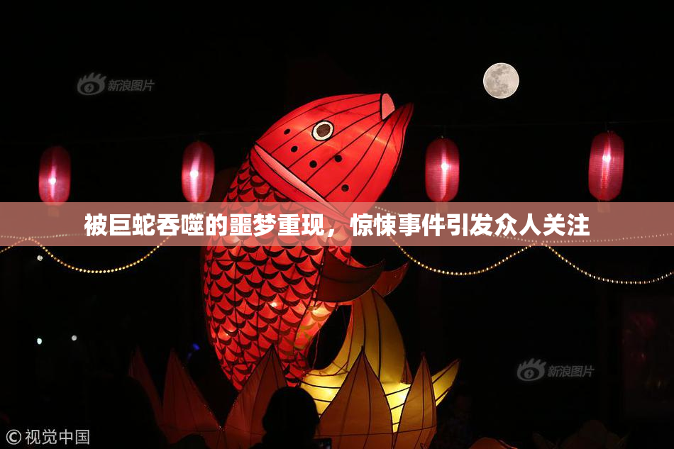 被巨蛇吞噬的噩梦重现，惊悚事件引发众人关注