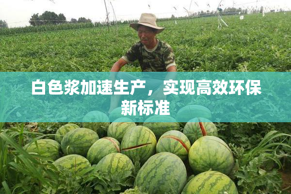 白色浆加速生产，实现高效环保新标准