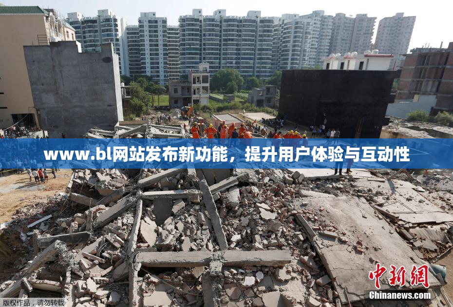www.bl网站发布新功能，提升用户体验与互动性