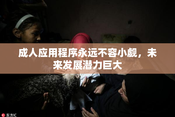 成人应用程序永远不容小觑，未来发展潜力巨大