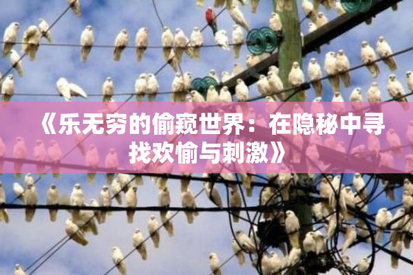 《乐无穷的偷窥世界：在隐秘中寻找欢愉与刺激》