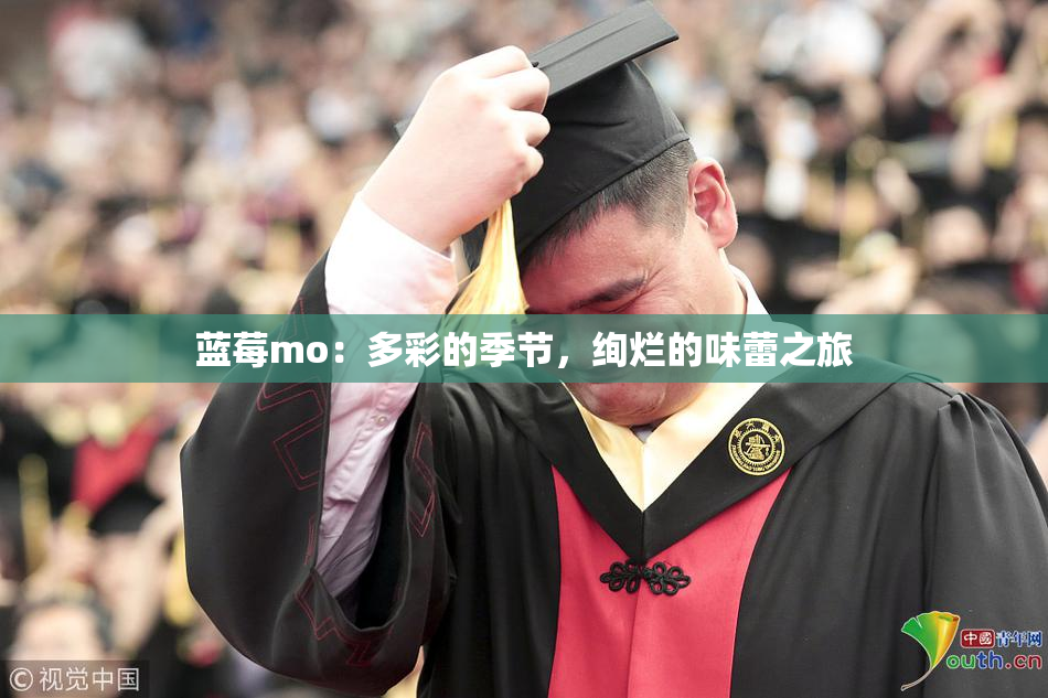 蓝莓mo：多彩的季节，绚烂的味蕾之旅