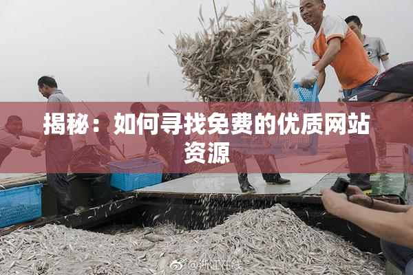 揭秘：如何寻找免费的优质网站资源
