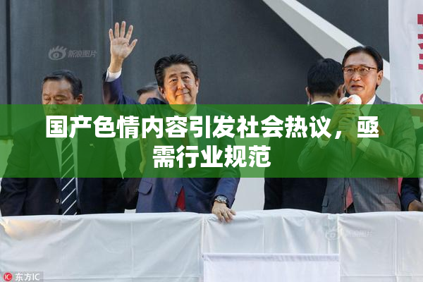 国产色情内容引发社会热议，亟需行业规范