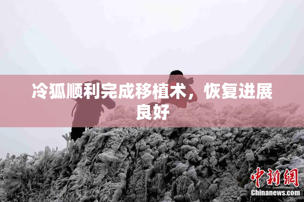 冷狐顺利完成移植术，恢复进展良好