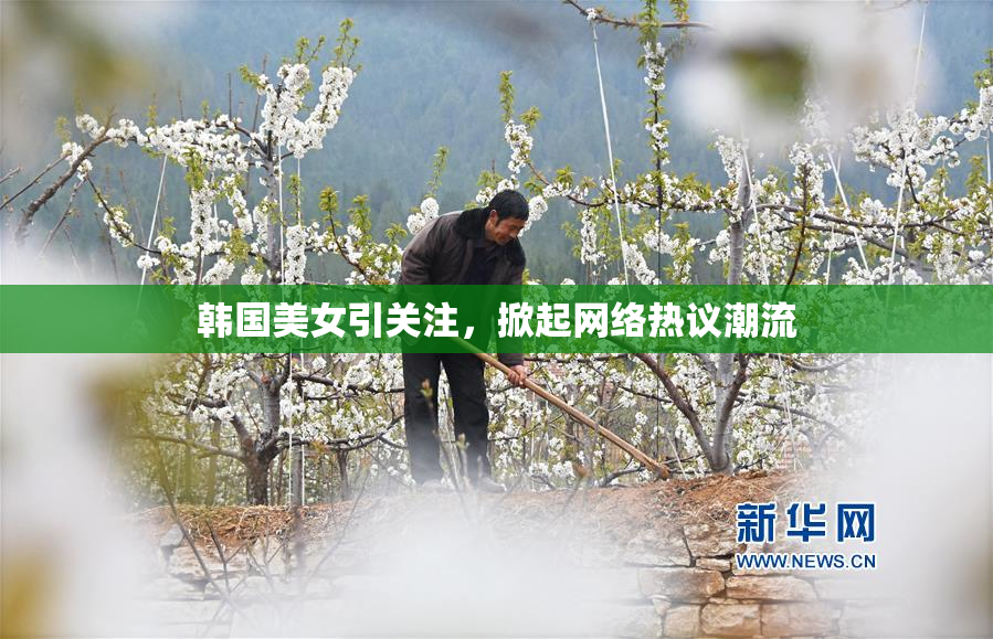 韩国美女引关注，掀起网络热议潮流