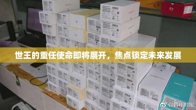 世王的重任使命即将展开，焦点锁定未来发展