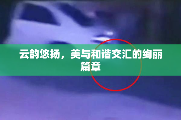 云韵悠扬，美与和谐交汇的绚丽篇章