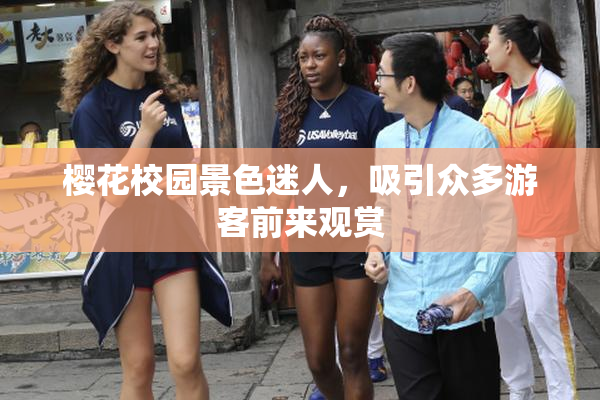 樱花校园景色迷人，吸引众多游客前来观赏