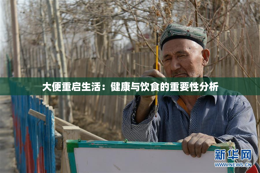 大便重启生活：健康与饮食的重要性分析