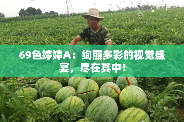 69色婷婷A：绚丽多彩的视觉盛宴，尽在其中！