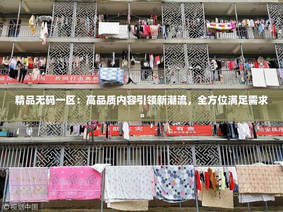 精品无码一区：高品质内容引领新潮流，全方位满足需求。