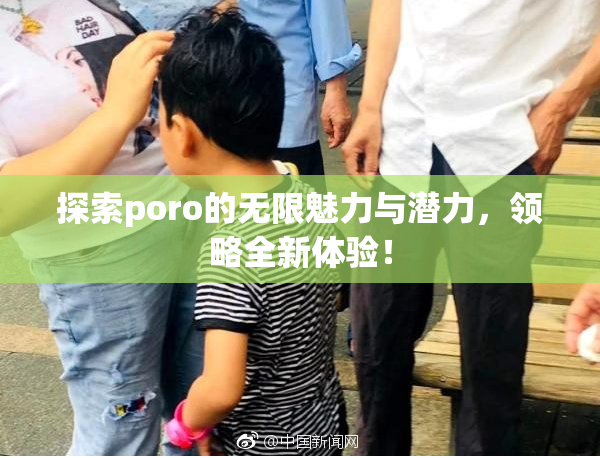 探索poro的无限魅力与潜力，领略全新体验！