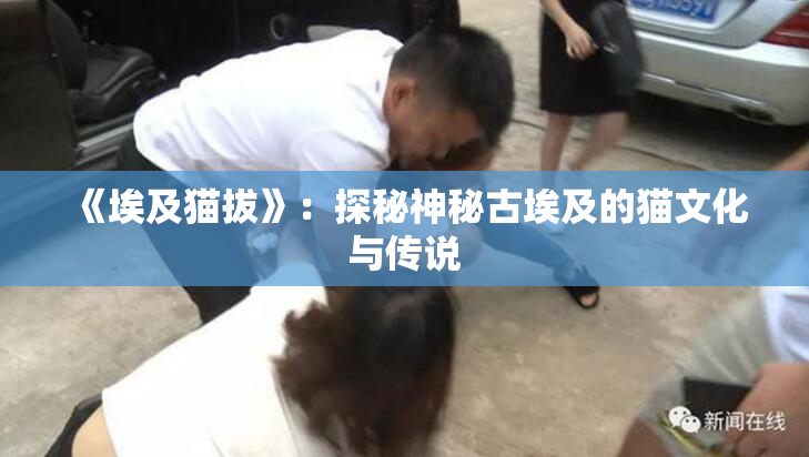 《埃及猫拔》：探秘神秘古埃及的猫文化与传说
