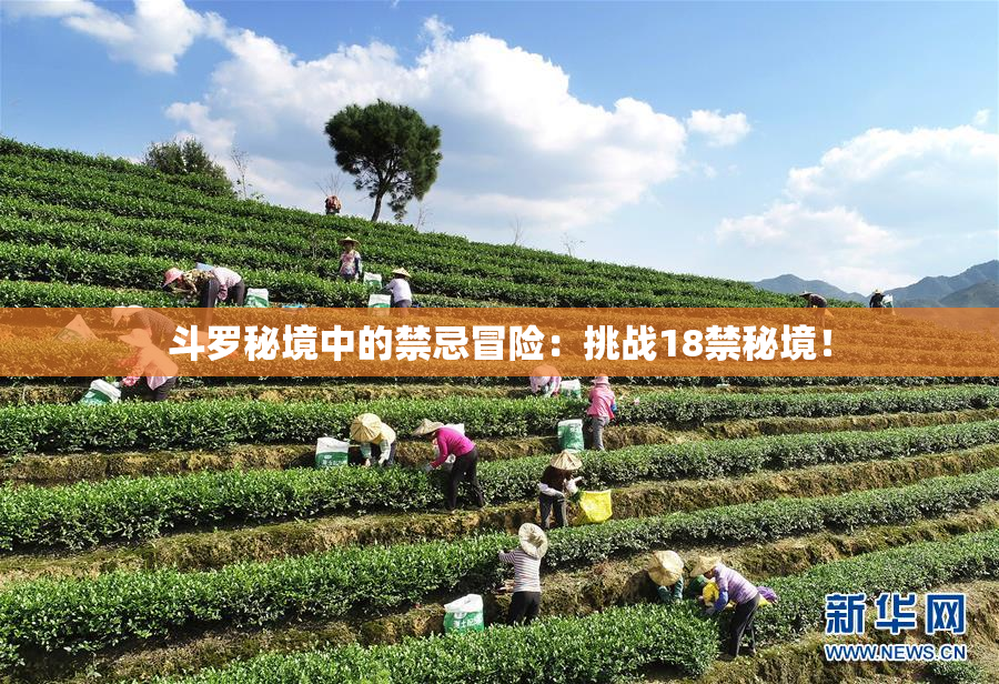 斗罗秘境中的禁忌冒险：挑战18禁秘境！