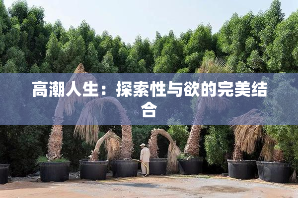 高潮人生：探索性与欲的完美结合