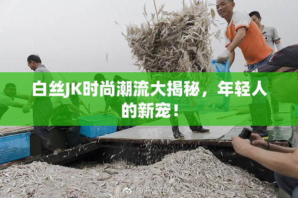 白丝JK时尚潮流大揭秘，年轻人的新宠！