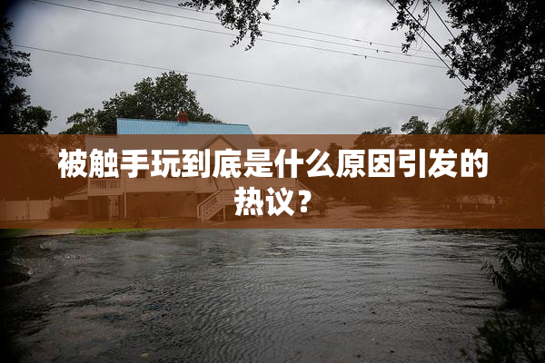 被触手玩到底是什么原因引发的热议？
