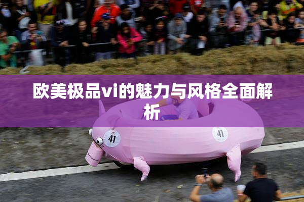 欧美极品vi的魅力与风格全面解析