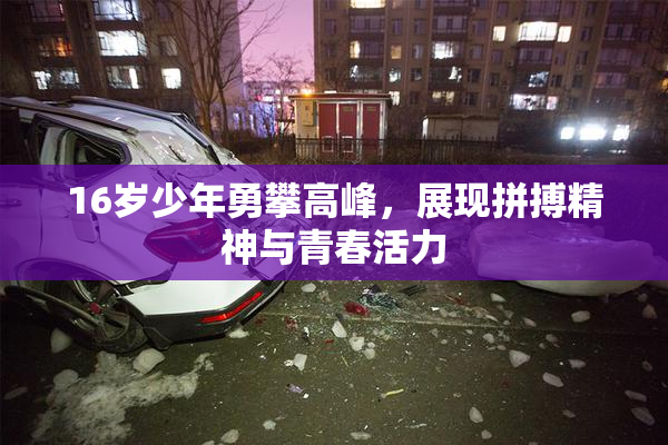 16岁少年勇攀高峰，展现拼搏精神与青春活力