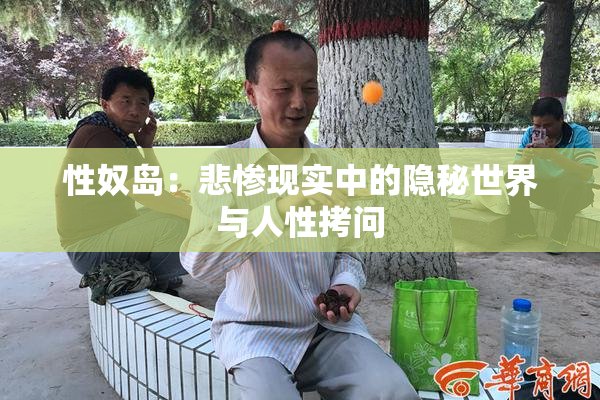 性奴岛：悲惨现实中的隐秘世界与人性拷问