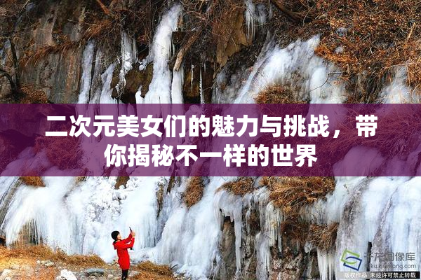 二次元美女们的魅力与挑战，带你揭秘不一样的世界