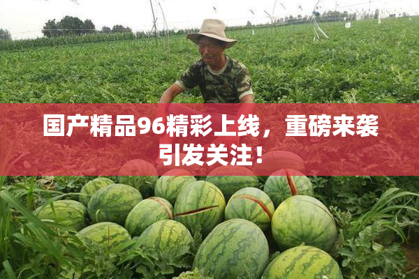 国产精品96精彩上线，重磅来袭引发关注！